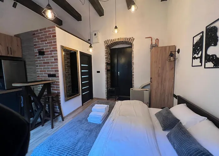 в самому центрі львова в проїзді крива липа Apartamento Leópolis